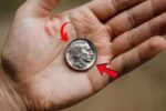 Buffalo Nickel